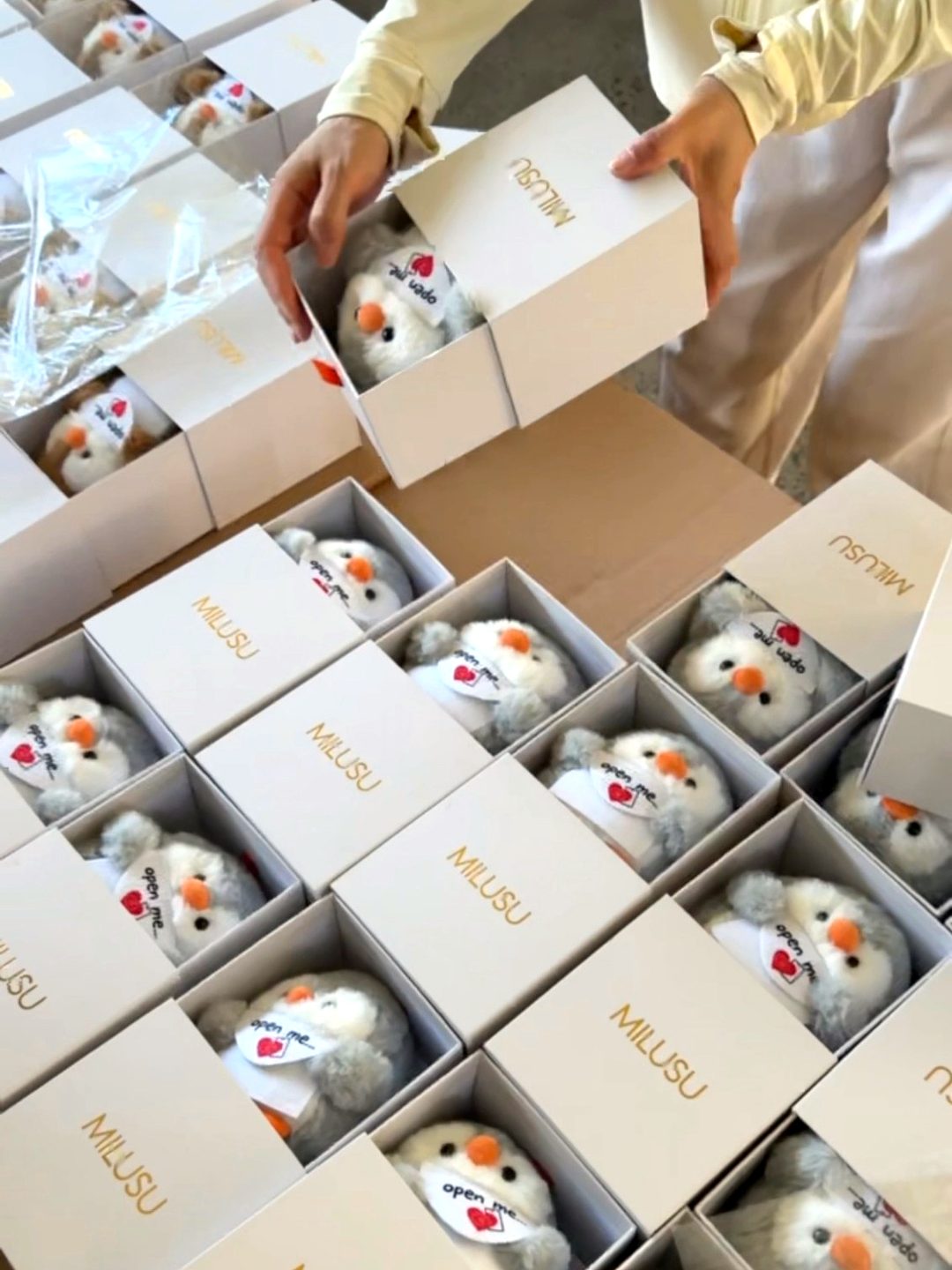 Packing MILUSU penguins into white MILUSU gift boxes